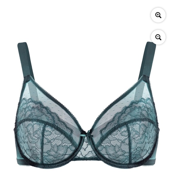 Hsia Other - HSIA Enchante Lace enchant Blue Unlined Underwire Bra Sz.42DDD bnwt